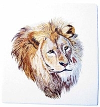 Photo of Lion Picture