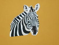 Zebra picture